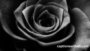 Black Aesthetic Captions for Instagram
